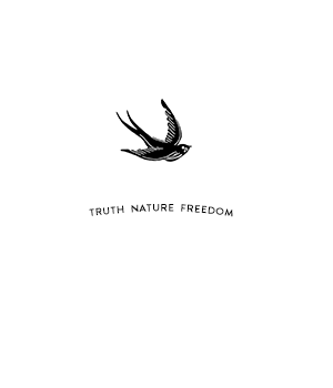 Thunder Philosopher