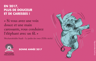 Bonne année 2017