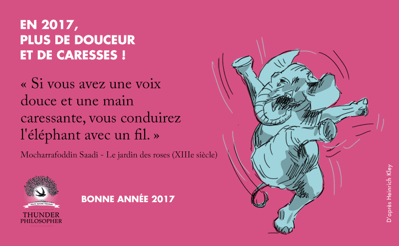 voeux-2017-thunderphilosopher-anim-800 Bonne année 2017